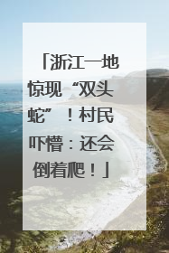 浙江一地惊现“双头蛇”！村民吓懵：还会倒着爬！