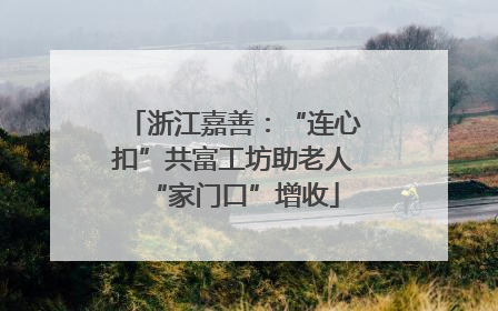 浙江嘉善：“连心扣”共富工坊助老人“家门口”增收