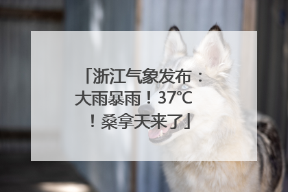 浙江气象发布：大雨暴雨！37℃！桑拿天来了