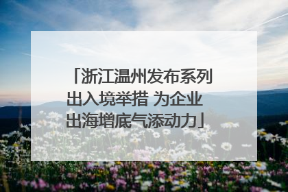 浙江温州发布系列出入境举措 为企业出海增底气添动力