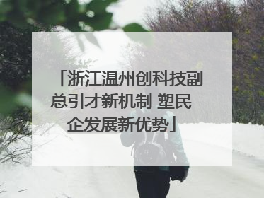浙江温州创科技副总引才新机制 塑民企发展新优势