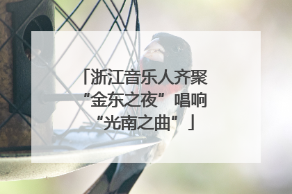 浙江音乐人齐聚“金东之夜”唱响“光南之曲”