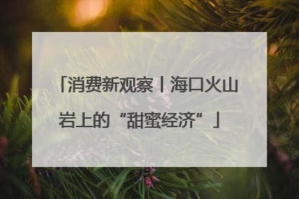 消费新观察丨海口火山岩上的“甜蜜经济”