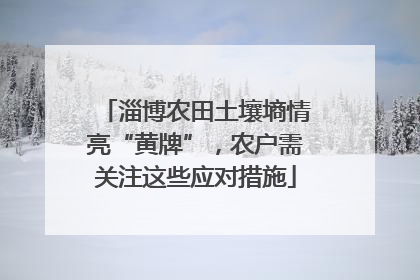 淄博农田土壤墒情亮“黄牌”，农户需关注这些应对措施