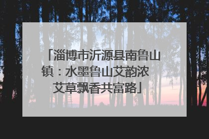 淄博市沂源县南鲁山镇：水墨鲁山艾韵浓 艾草飘香共富路