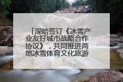 深哈签订《冰雪产业友好城市战略合作协议》，共同推进两地冰雪体育文化旅游高质量发展