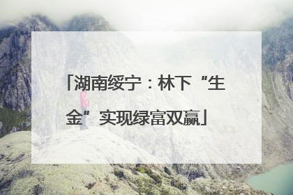 湖南绥宁：林下“生金”实现绿富双赢