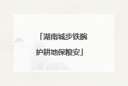 湖南城步铁腕护耕地保粮安