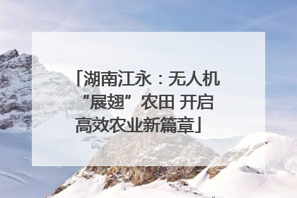 湖南江永：无人机“展翅”农田 开启高效农业新篇章