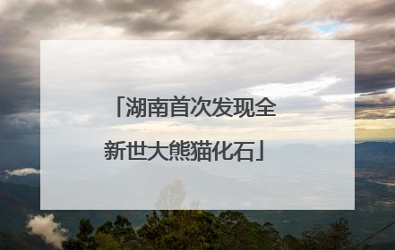 湖南首次发现全新世大熊猫化石