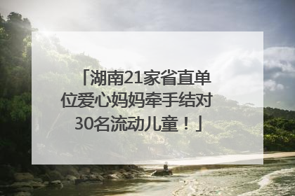 湖南21家省直单位爱心妈妈牵手结对30名流动儿童！