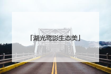 湖光鹭影生态美