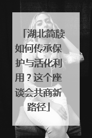 湖北简牍如何传承保护与活化利用？这个座谈会共商新路径