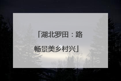 湖北罗田：路畅景美乡村兴