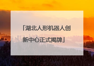 湖北人形机器人创新中心正式揭牌