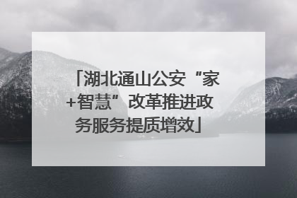 湖北通山公安“家+智慧”改革推进政务服务提质增效