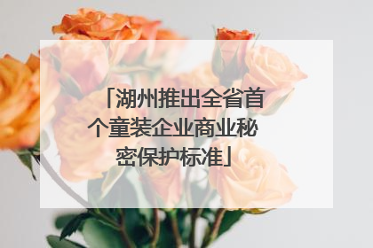 湖州推出全省首个童装企业商业秘密保护标准