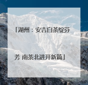 湖州：安吉白茶绽芬芳 南茶北进开新篇