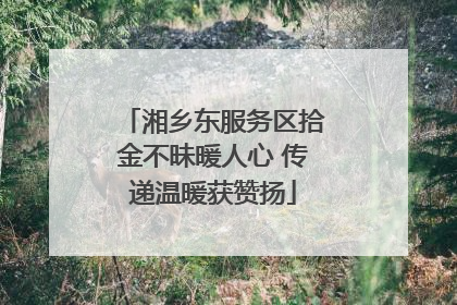 湘乡东服务区拾金不昧暖人心 传递温暖获赞扬