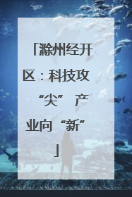 滁州经开区：科技攻“尖” 产业向“新”
