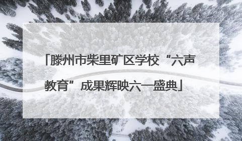 滕州市柴里矿区学校“六声教育”成果辉映六一盛典