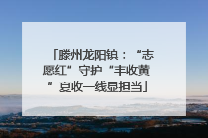 滕州龙阳镇：“志愿红”守护“丰收黄”夏收一线显担当