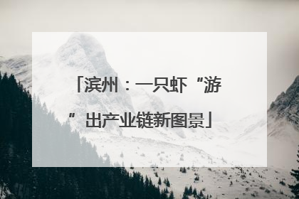 滨州：一只虾“游”出产业链新图景