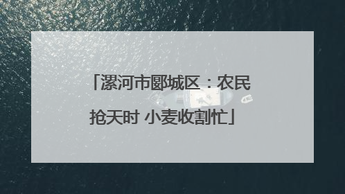 漯河市郾城区：农民抢天时 小麦收割忙