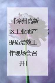 漳州高新区工业地产提质增效工作现场会召开