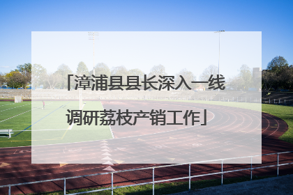 漳浦县县长深入一线调研荔枝产销工作