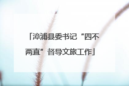 漳浦县委书记“四不两直”督导文旅工作