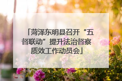 菏泽东明县召开“五督联动”提升法治督察质效工作动员会