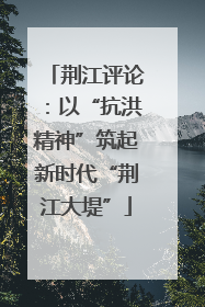荆江评论：以“抗洪精神”筑起新时代“荆江大堤”