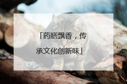药膳飘香，传承文化创新味