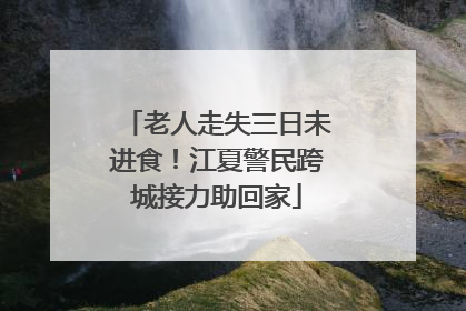 老人走失三日未进食！江夏警民跨城接力助回家