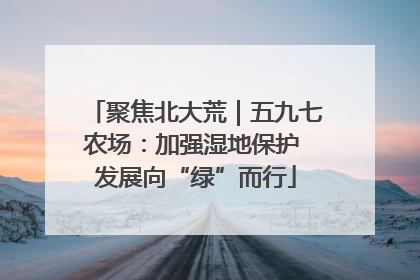 聚焦北大荒｜五九七农场：加强湿地保护 发展向“绿”而行