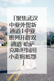 聚焦武汉中亚外贸新通道│中亚班列开辟双通道 哈萨克斯坦饲用小麦将抵鄂