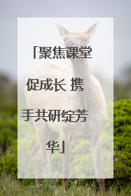 聚焦课堂促成长 携手共研绽芳华