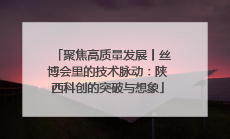 聚焦高质量发展丨丝博会里的技术脉动：陕西科创的突破与想象