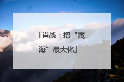 肖战：把“藏海”最大化