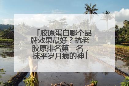 胶原蛋白哪个品牌效果最好？抗老胶原排名第一名，抹平岁月痕的神