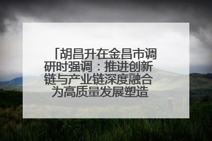 胡昌升在金昌市调研时强调：推进创新链与产业链深度融合 为高质量发展塑造新动能新优势