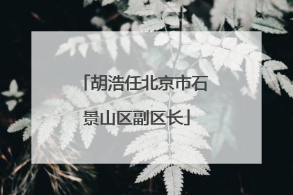胡浩任北京市石景山区副区长