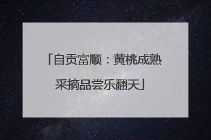 自贡富顺：黄桃成熟 采摘品尝乐翻天