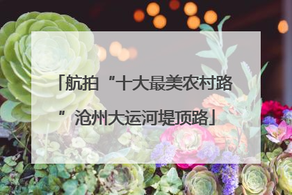 航拍“十大最美农村路”沧州大运河堤顶路