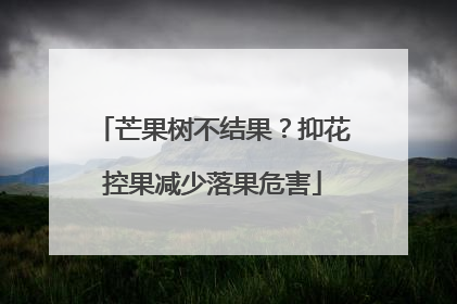 芒果树不结果？抑花控果减少落果危害