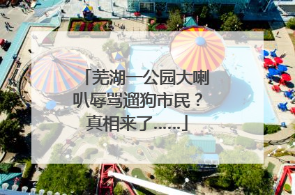 芜湖一公园大喇叭辱骂遛狗市民？真相来了……