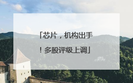 芯片，机构出手！多股评级上调