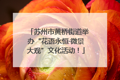 苏州市黄桥街道举办“花语永恒·微景大观”文化活动！