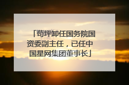 苟坪卸任国务院国资委副主任，已任中国星网集团董事长